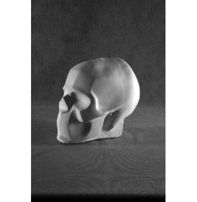Обрубовка черепа по Бамас (гипс)