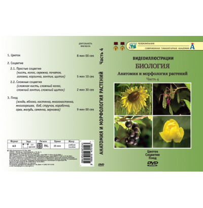 DVD Анатомия и морфология растений ч. 4 (Цветок, соцветие, плод)