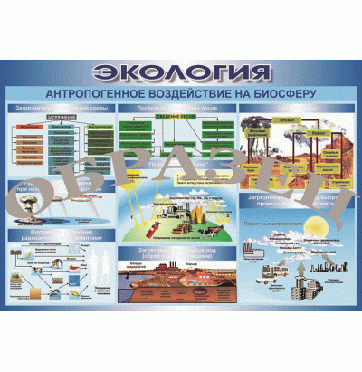 Таблица Антропогенное воздействие на биосферу 1000*700 (винил)