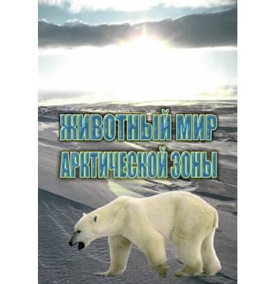 DVD Животный мир Арктической зоны