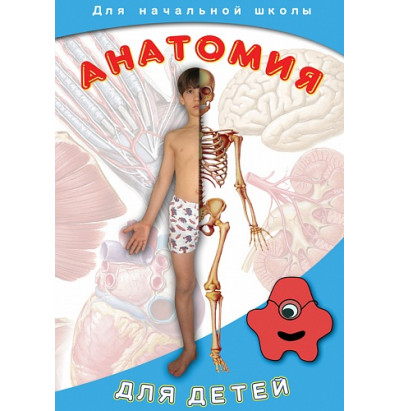 DVD Анатомия для детей